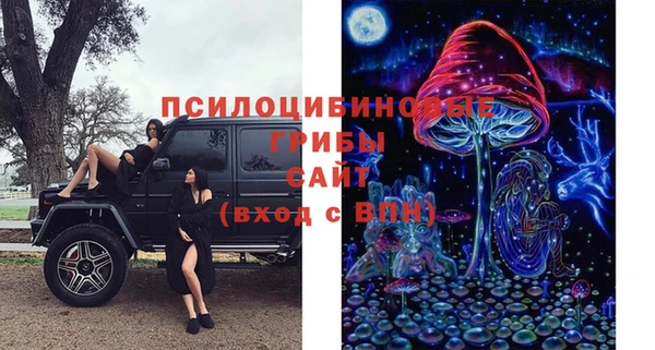 ГАЛЛЮЦИНОГЕННЫЕ ГРИБЫ Балашиха