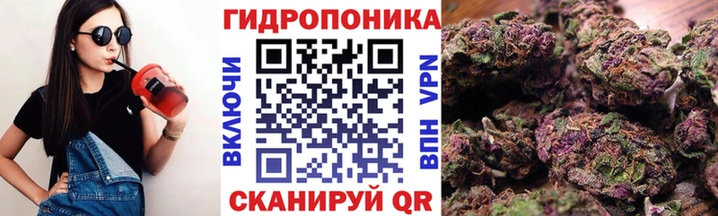 купить   Новоуральск  Конопля Amnesia 